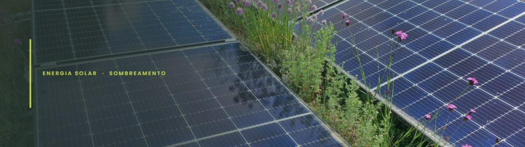 Sombra de folhas sobre módulos fotovoltaicos em um telhado com vegetação